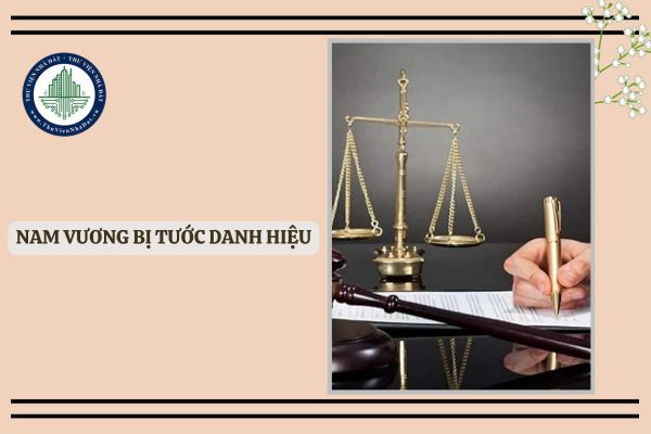 Nam Vương bị tước danh hiệu khi nào? Thủ tục, hồ sơ tước danh hiệu Nam Vương?