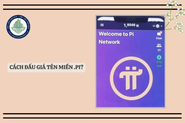 Cách đấu giá tên miền .Pi? Tên miền .Pi có giá bao nhiêu?