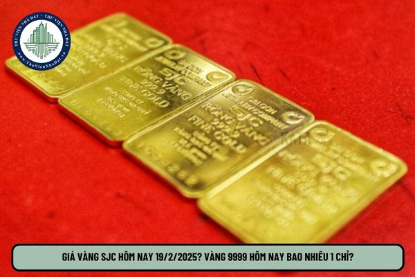 Giá vàng SJC hôm nay 19 2 2025? Vàng 9999 hôm nay bao nhiêu 1 chỉ? Cập nhật giá vàng hôm nay?