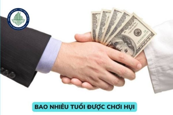 Bao nhiêu tuổi được chơi hụi? Quyền của thành viên khi tham gia chơi hụi là gì? Thành viên có nghĩa vụ gì khi tham gia chơi hụi