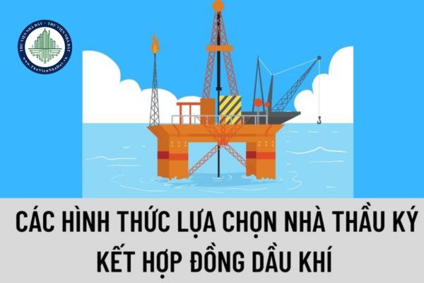 thuviennhadat.vn