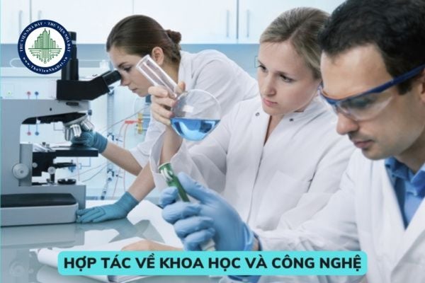 Cơ sở giáo dục đại học và doanh nghiệp ngoài cơ sở giáo dục đại học được hợp tác về khoa học và công nghệ trong các trường hợp nào?