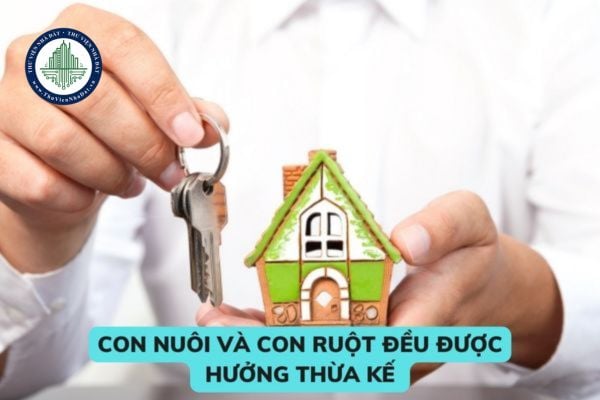 Con nuôi và con ruột đều được hưởng thừa kế theo pháp luật như nhau có đúng không? Những trường hợp thừa kế theo pháp luật? 