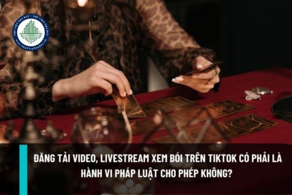 Đăng tải video, livestream xem bói trên Tiktok có phải là hành vi pháp luật cho phép thực hiện không?