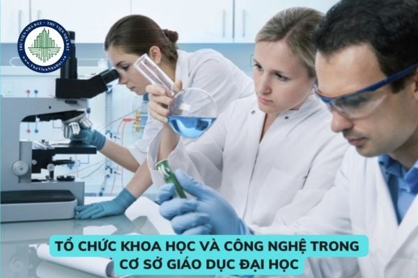 Quy định về tổ chức khoa học và công nghệ trong cơ sở giáo dục đại học từ 01/03/2023? Nội dung hoạt động khoa học và công nghệ trong cơ sở giáo dục đại học bao gồm những gì? 