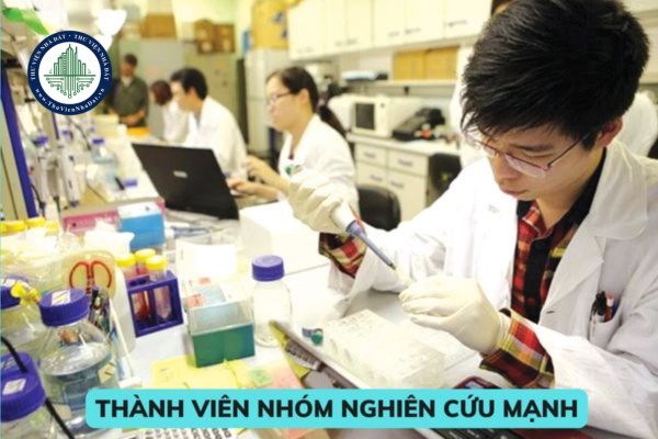 Trách nhiệm và quyền của trưởng nhóm và thành viên nhóm nghiên cứu mạnh trong cơ sở giáo dục đại học?