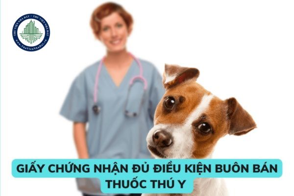 thuviennhadat.vn
