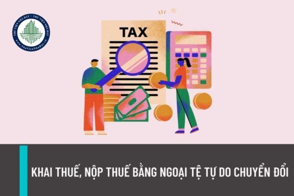 Trường hợp nào được khai thuế, nộp thuế bằng ngoại tệ tự do chuyển đổi? Đồng tiền trong khai thuế, nộp thuế được quy định như thế nào?