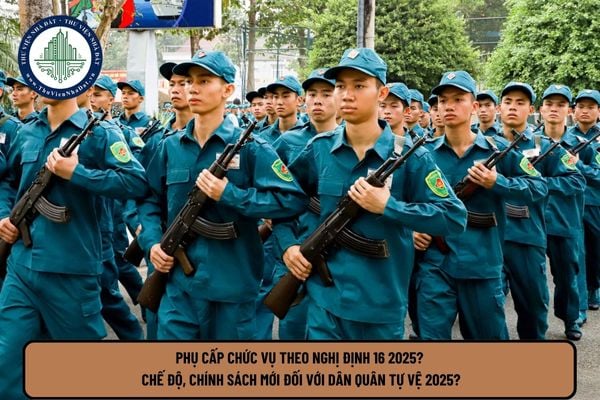 Phụ cấp chức vụ theo Nghị định 16 2025? Chế độ, chính sách mới đối với Dân quân tự vệ 2025?