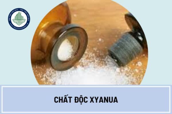 Chất độc xyanua có mùi gì?