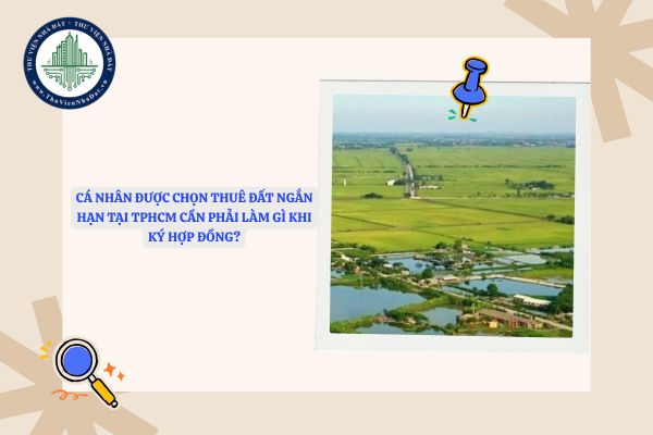 Cá nhân được chọn thuê đất ngắn hạn tại TPHCM cần phải làm gì khi ký hợp đồng?