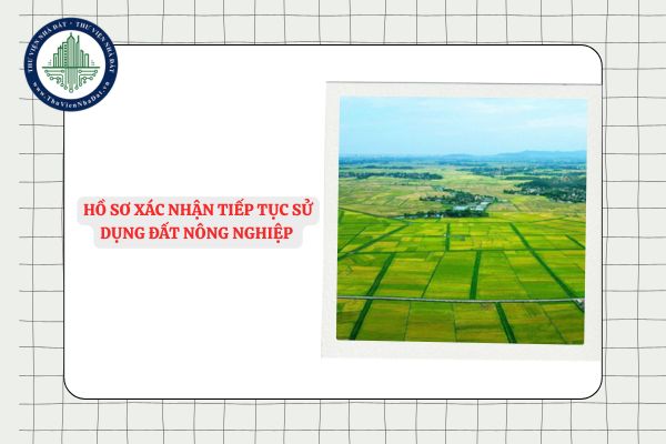 Hồ sơ xác nhận tiếp tục sử dụng đất nông nghiệp của cá nhân bao gồm những gì?