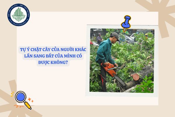 Tự ý chặt cây của người khác lấn sang đất của mình có được không?