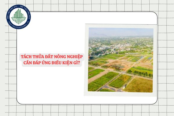 Tách thửa đất nông nghiệp cần đáp ứng điều kiện gì?
