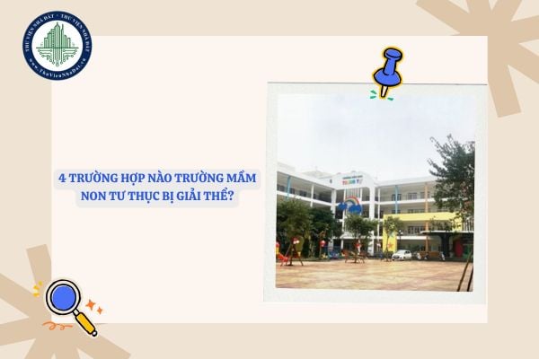 4 trường hợp nào trường mầm non tư thục bị giải thể?