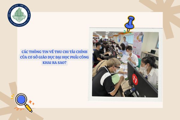 Các thông tin về thu chi tài chính của cơ sở giáo dục đại học phải công khai ra sao?