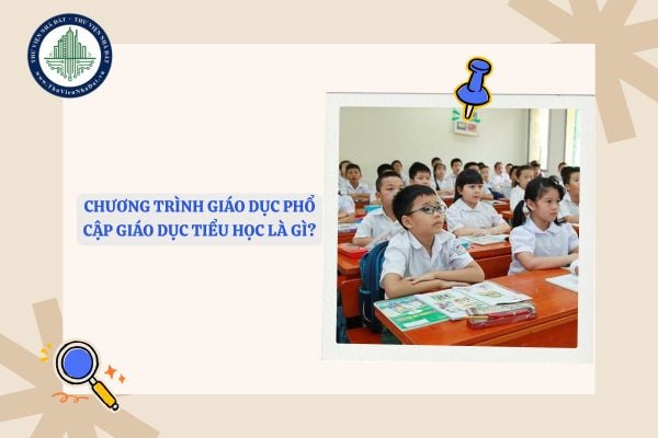 Chương trình giáo dục phổ cập giáo dục tiểu học là gì?