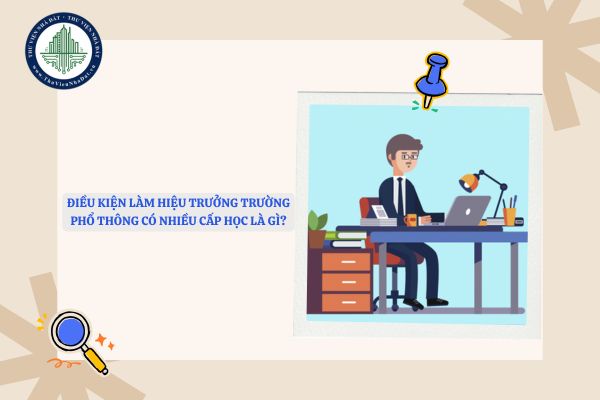Điều kiện làm hiệu trưởng trường phổ thông có nhiều cấp học là gì?