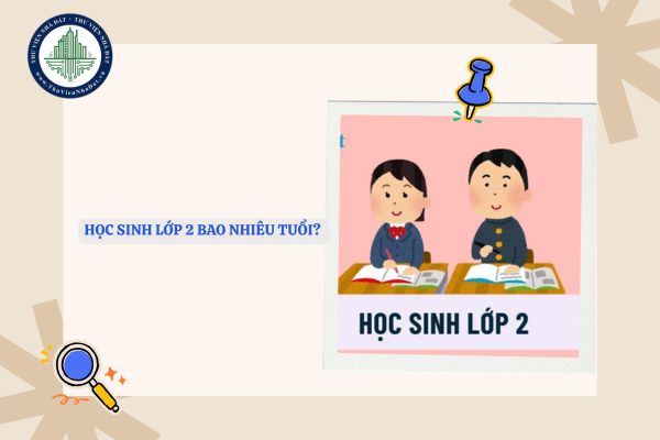 Học sinh lớp 2 bao nhiêu tuổi? Lựa chọn sách giáo khoa cho học sinh lớp 2 theo tiêu chí nào?