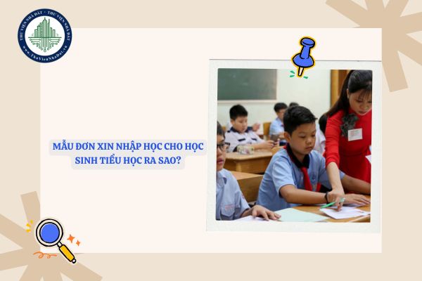Mẫu đơn xin nhập học cho học sinh tiểu học vào lớp 1 ra sao?