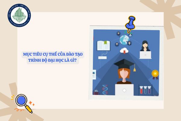 Mục tiêu cụ thể của đào tạo trình độ đại học là gì? 