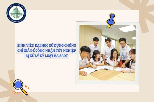 Sinh viên đại học sử dụng chứng chỉ giả để công nhận tốt nghiệp bị xử lý kỷ luật ra sao?