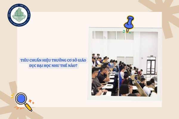 Tiêu chuẩn hiệu trưởng cơ sở giáo dục đại học như thế nào?