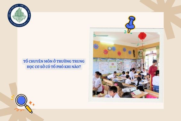 Tổ chuyên môn ở trường trung học cơ sở có tổ phó khi nào?