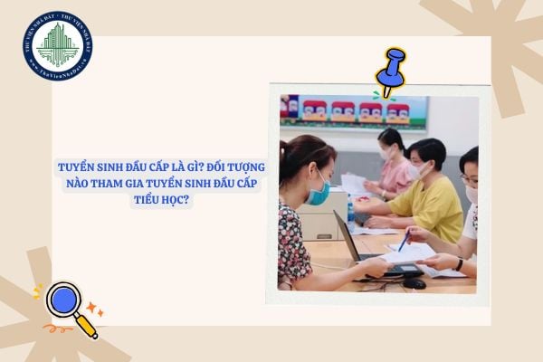 Tuyển sinh đầu cấp là gì? Đối tượng nào tham gia tuyển sinh đầu cấp tiểu học?