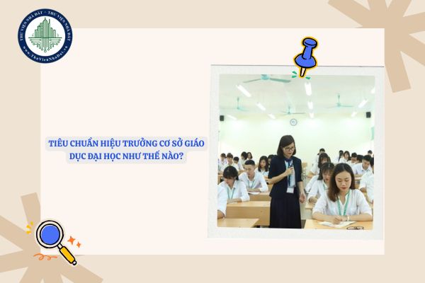 Yêu cầu đối với giáo trình giảng dạy giáo dục đại học ra sao?