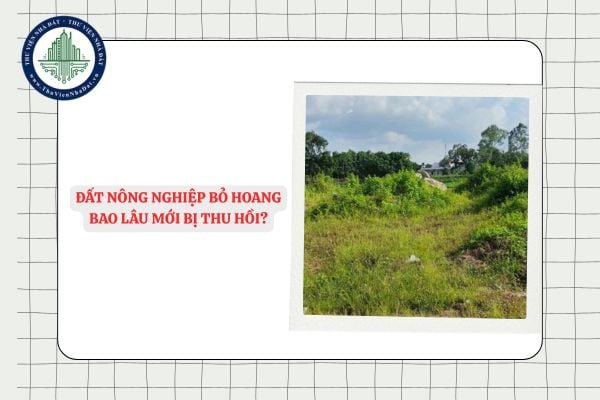 Đất nông nghiệp bỏ hoang bao lâu mới bị thu hồi?