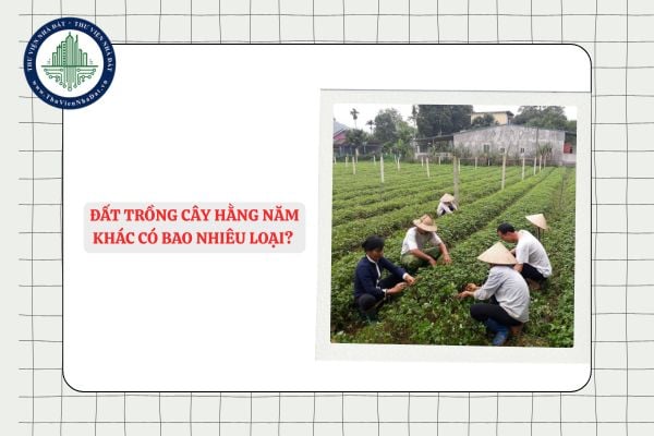 Đất trồng cây hằng năm khác có bao nhiêu loại? Ký hiệu?