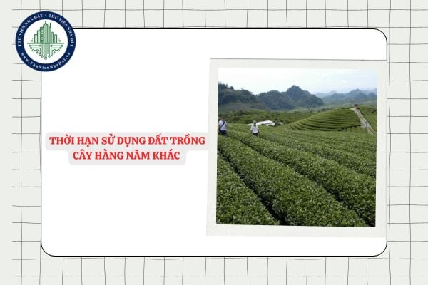 Đất trồng cây hàng năm khác có thời hạn sử dụng bao lâu?