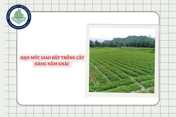 Hạn mức giao đất trồng cây hàng năm khác là bao nhiêu?