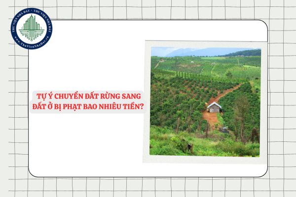 Hành vi tự ý chuyển đất rừng sang đất ở bị phạt bao nhiêu tiền?