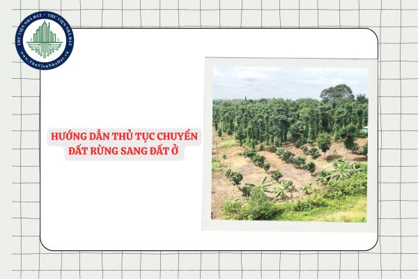 Hướng dẫn thủ tục chuyển đất rừng sang đất ở mới nhất 2025