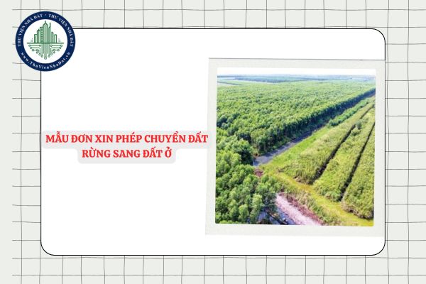 Mẫu đơn xin phép chuyển đất rừng sang đất ở là mẫu nào? Tải file word