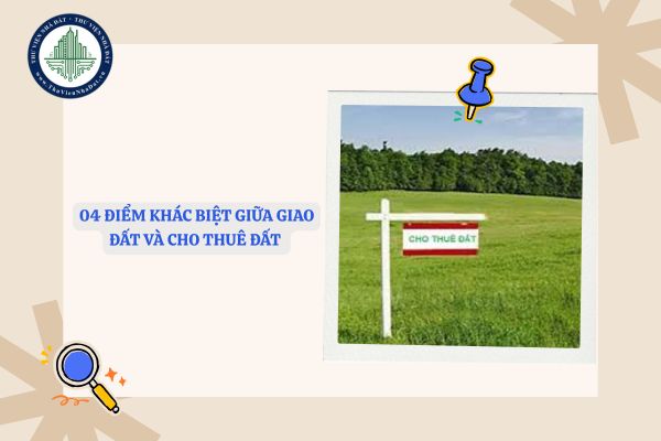 04 điểm khác biệt giữa giao đất và cho thuê đất theo theo Luật Đất đai mới nhất năm 2025