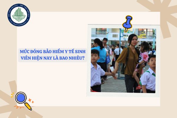 Mức đóng bảo hiểm y tế sinh viên hiện nay là bao nhiêu?