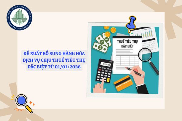 Đề xuất bổ sung hàng hóa dịch vụ chịu thuế tiêu thụ đặc biệt từ 01/01/2026