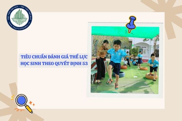 Tiêu chuẩn đánh giá thể lực học sinh theo Quyết định 53