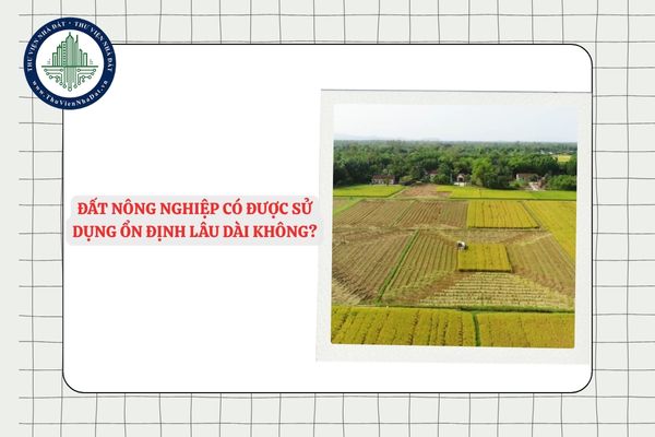 Đất nông nghiệp có được sử dụng ổn định lâu dài không?