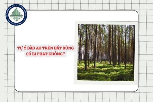 Tự ý đào ao trên đất rừng có bị phạt không?