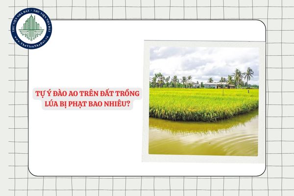 Tự ý đào ao trên đất trồng lúa bị phạt bao nhiêu?
