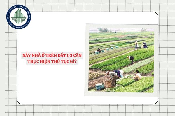 Xây nhà ở trên Đất 03 cần thực hiện thủ tục gì?