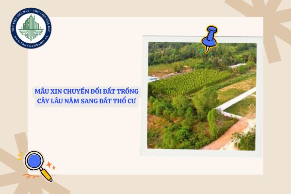File word Mẫu xin chuyển đổi đất trồng cây lâu năm sang đất thổ cư mới nhất 2025?