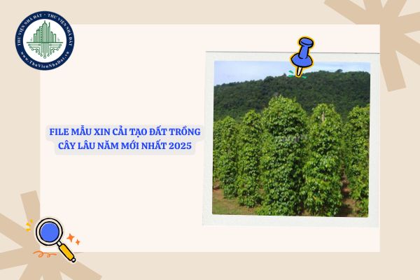 File Mẫu xin cải tạo đất trồng cây lâu năm mới nhất 2025