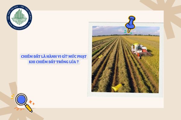 Chiếm đất là hành vi gì? Mức phạt khi chiếm đất trồng lúa là bao nhiêu?