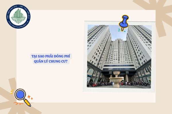 Tại sao phải đóng phí quản lý chung cư? Phí quản lý chung cư bao gồm những gì?