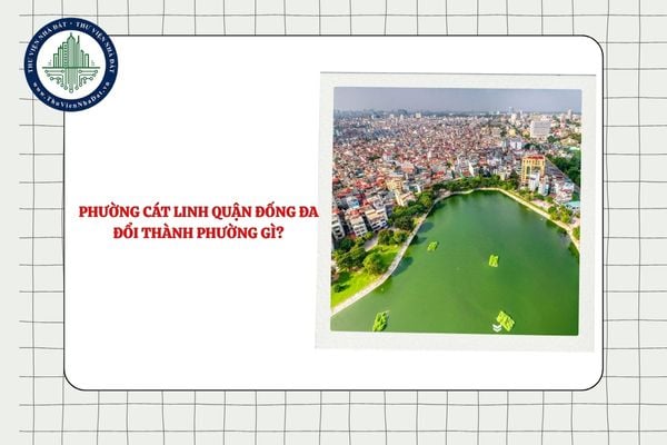 Phường Cát Linh quận Đống Đa đổi thành phường gì sau sắp xếp ĐVHC TP Hà Nội?
